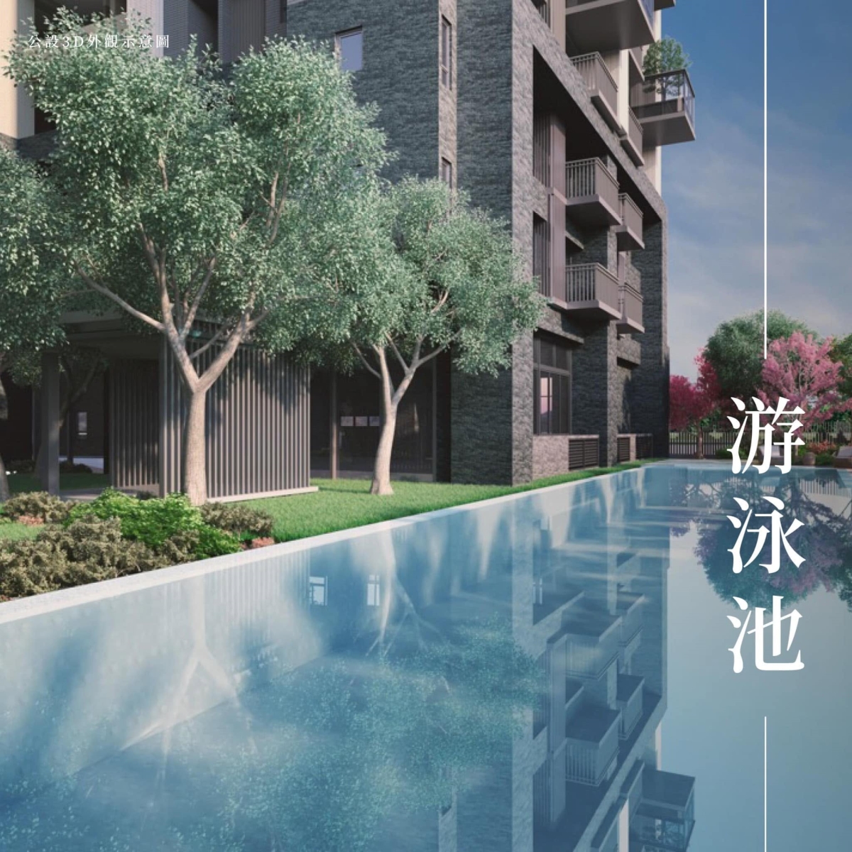 國雄無双|新市政特區|種籽團隊