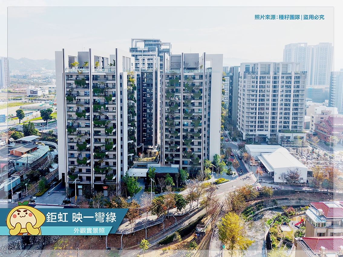 映一彎綠|種籽團隊